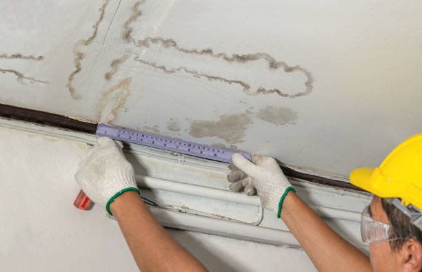 Affordable Ceiling Water Damage Repair solutions in Wren, OH
